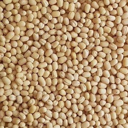 Urid Dhal